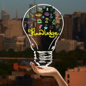 Knowledge Tree - Exit Interview